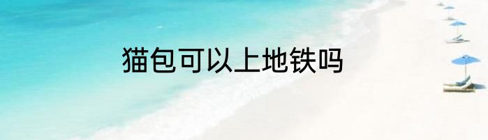 猫包可以上地铁吗