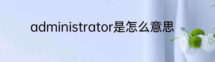 administrator是怎么意思