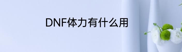 DNF体力有什么用