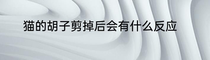 猫的胡子剪掉后会有什么反应