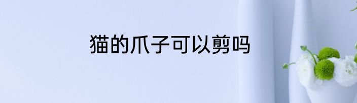 猫的爪子可以剪吗