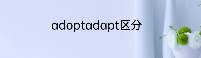 adoptadapt区分