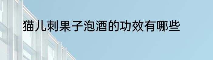 猫儿刺果子泡酒的功效有哪些