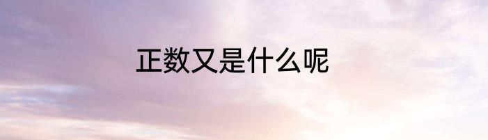 正数又是什么呢