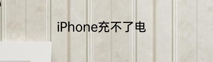 iPhone充不了电