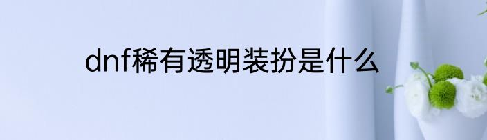 dnf稀有透明装扮是什么