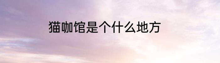 猫咖馆是个什么地方