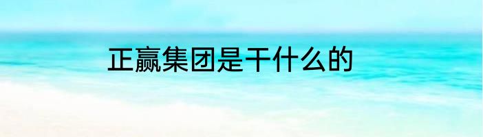 正赢集团是干什么的