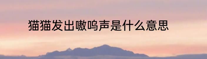 猫猫发出嗷呜声是什么意思