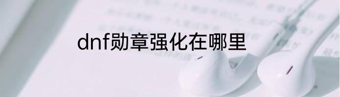 dnf勋章强化在哪里