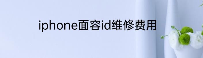iphone面容id维修费用
