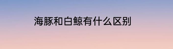 海豚和白鲸有什么区别