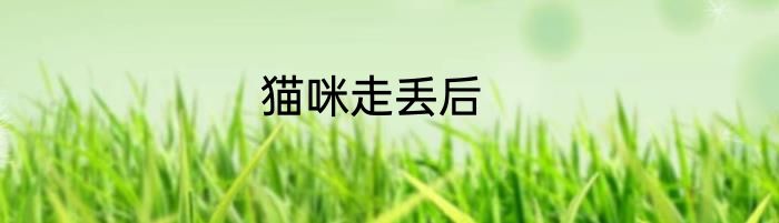 猫咪走丢后