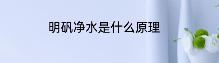 明矾净水是什么原理
