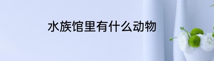 水族馆里有什么动物