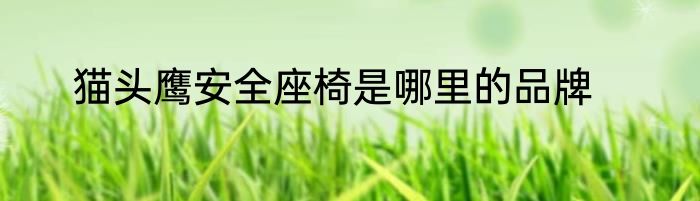 猫头鹰安全座椅是哪里的品牌