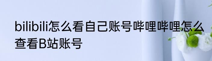 bilibili怎么看自己账号哔哩哔哩怎么查看B站账号