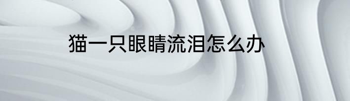 猫一只眼睛流泪怎么办