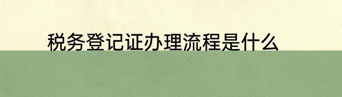 税务登记证办理流程是什么