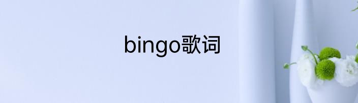 bingo歌词