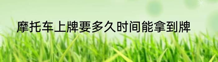 摩托车上牌要多久时间能拿到牌