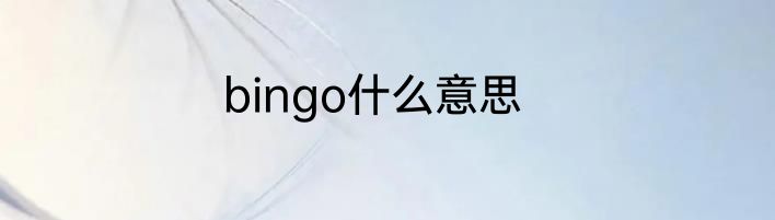 bingo什么意思