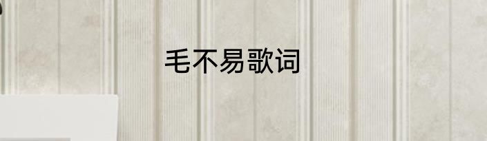 毛不易歌词