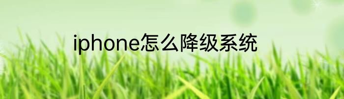 iphone怎么降级系统