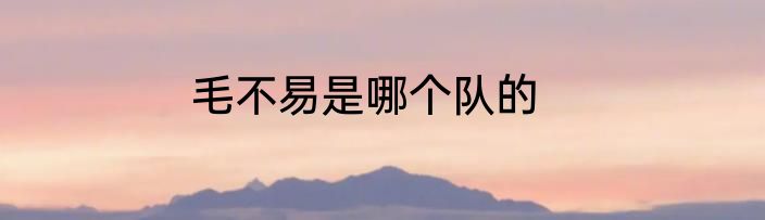 毛不易是哪个队的