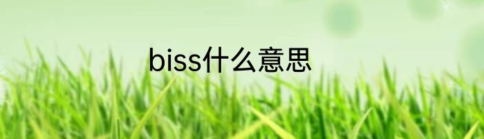 biss什么意思