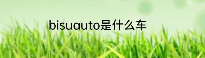bisuauto是什么车
