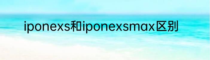iponexs和iponexsmax区别