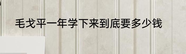 毛戈平一年学下来到底要多少钱