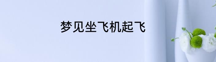 梦见坐飞机起飞