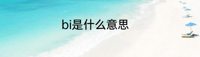 bi是什么意思