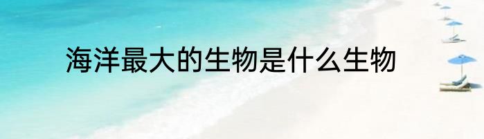 海洋最大的生物是什么生物