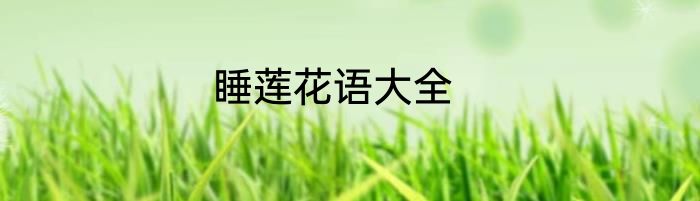 睡莲花语大全