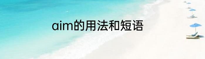 aim的用法和短语