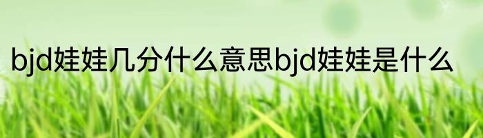 bjd娃娃几分什么意思bjd娃娃是什么