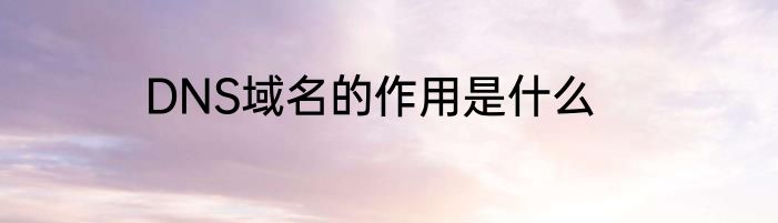 DNS域名的作用是什么