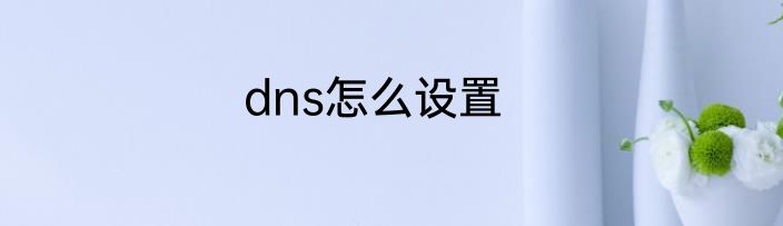 dns怎么设置