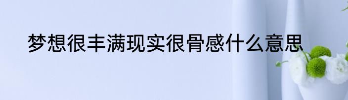梦想很丰满现实很骨感什么意思