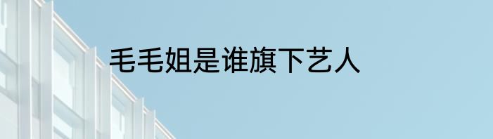毛毛姐是谁旗下艺人