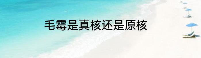 毛霉是真核还是原核