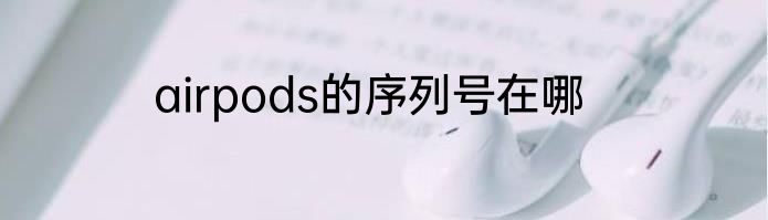 airpods的序列号在哪