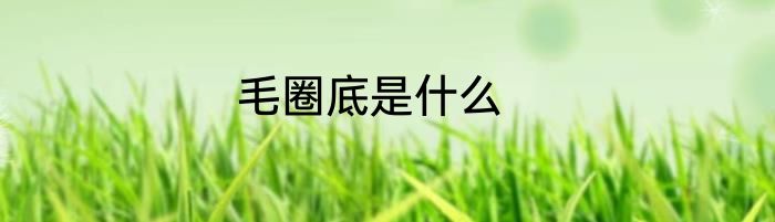 毛圈底是什么