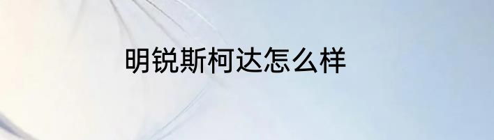 明锐斯柯达怎么样
