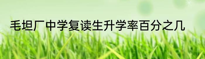 毛坦厂中学复读生升学率百分之几