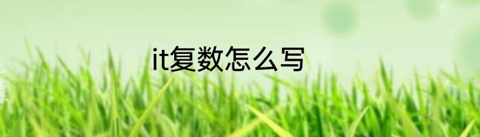 it复数怎么写