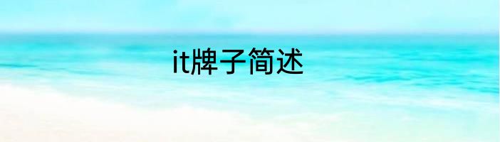 it牌子简述